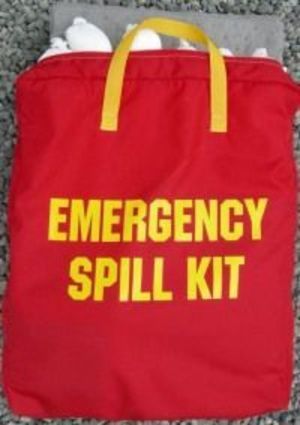 KI-ESK-F2BP Basic Vehicle Spill Kit in Nylon Bag (Level 2-with Plug Pattie),